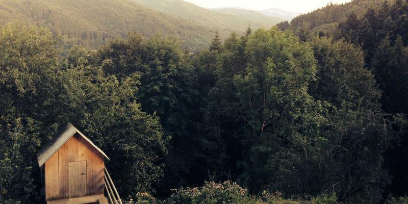 114便利店选址致胜法则：深度解析本地生活服务的商圈分析与实战策略