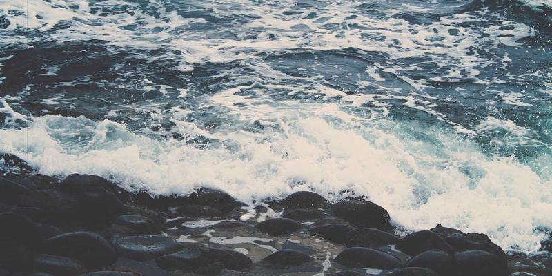 114店38：您身边的生活服务百事通，商家信息查询新体验