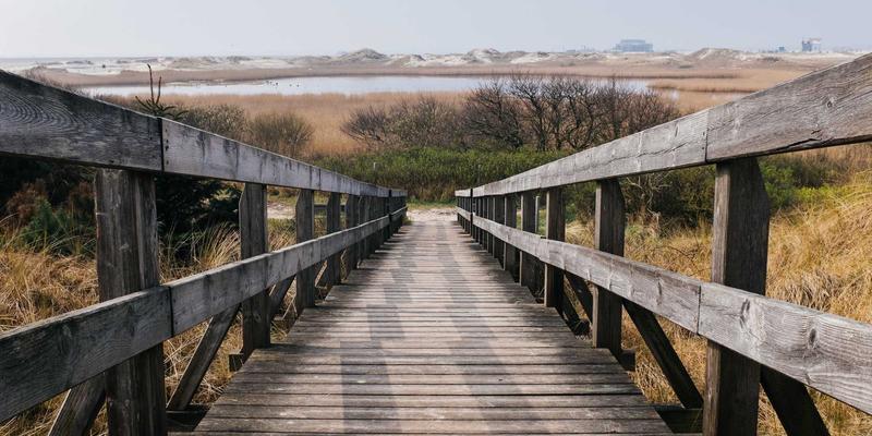 114店43：本地生活服务的数字黄页革命