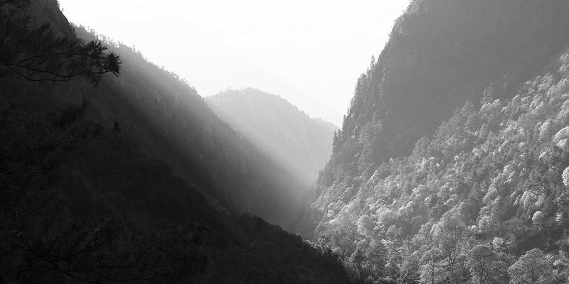 114店46：解码数字时代的生活服务新范式