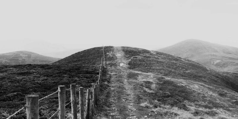 114店53：数字时代的本地商家信息黄页新革命