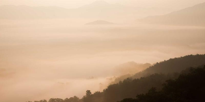 114店68：连接本地生活与服务的智慧新门户
