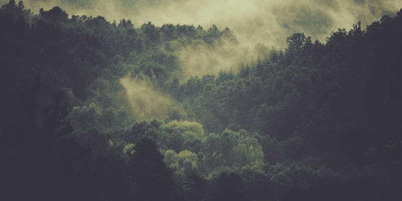 114店69:解锁本地生活服务新方式,打造您的专属生活信息指南