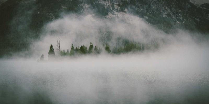 114店95：本地生活服务查询新入口，如何高效获取精准商家信息？