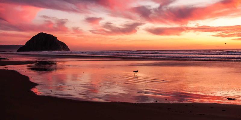 114店优势解析：如何通过精准商家信息与本地生活服务打造数字化黄页新生态