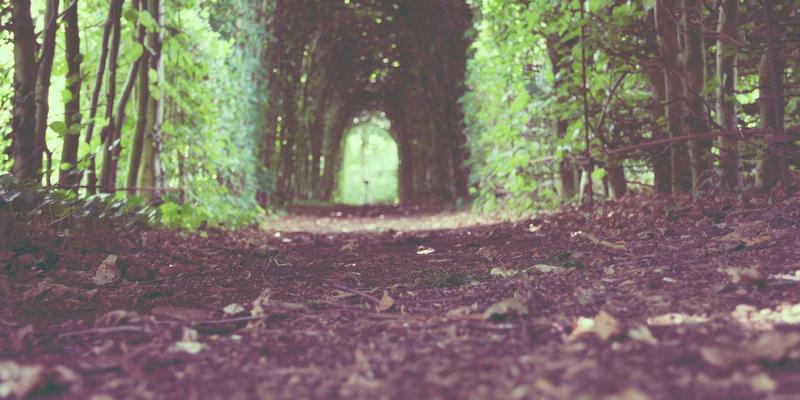 114店技巧:本地商家如何借力生活服务平台精准获客