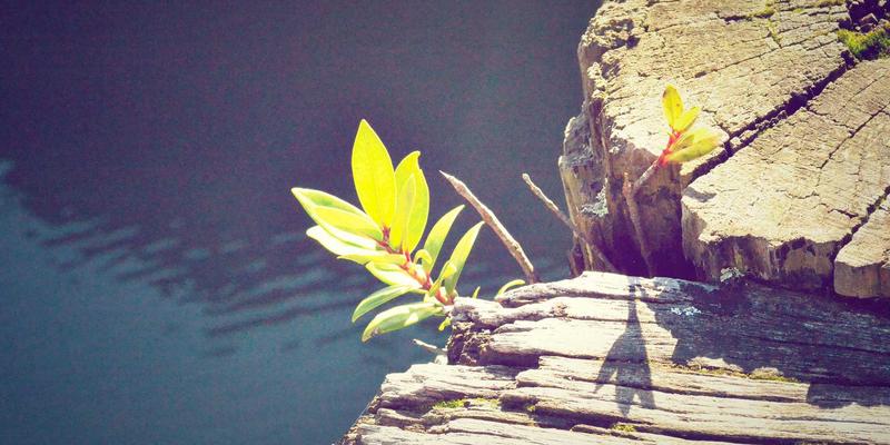 114店消费动线设计与陈列优化：基于顾客行为数据的坪效提升术