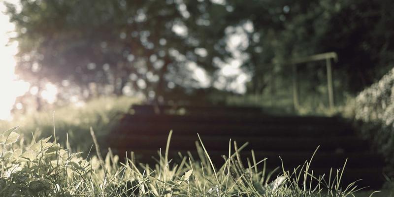 114店深度评测：本地生活服务的“万能黄页”真的靠谱吗？