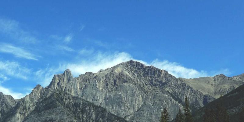 从社区到云端：114店如何借数字化转型重塑本地生活服务新生态