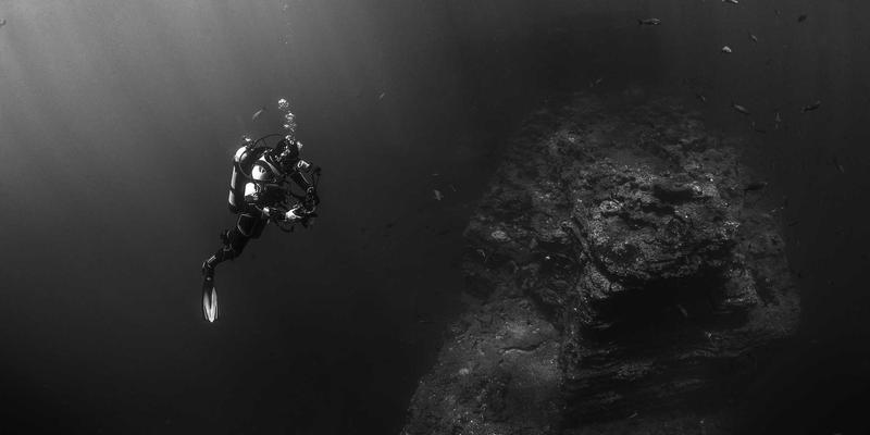 从黄页到数字生态：解码114店的转型趋势与商业未来