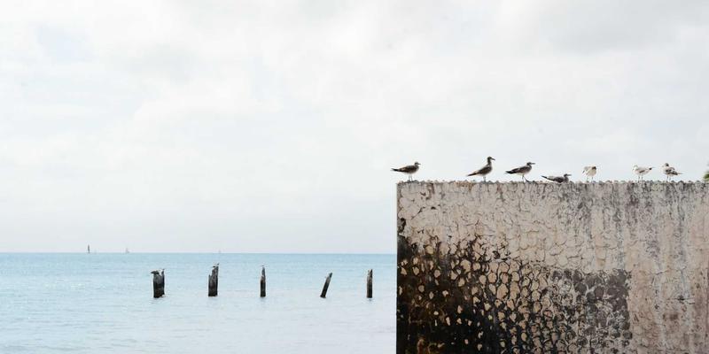 商家信息查询新范式：114店如何跨界快递柜、洗衣服务与物业，共创社区服务生态