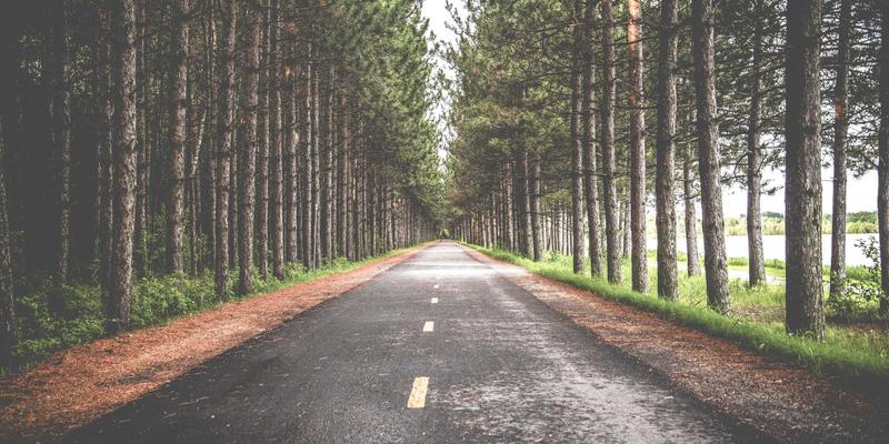 揭秘114便利店供应链管理：本地商家如何通过高效配送保障生鲜食品新鲜度