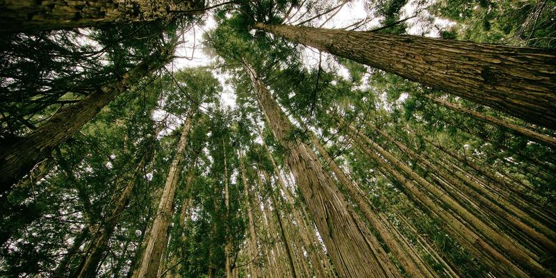 揭秘114店供应链管理：本地生活服务商的选品与物流优化策略