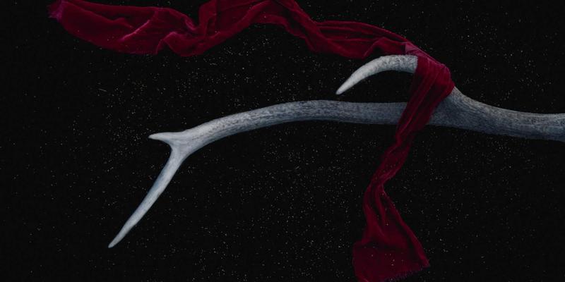 生活服务商家信息查询平台114店的供应链优化策略：如何降低库存成本并保障商品新鲜度