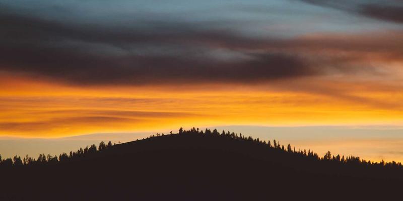 生活服务新引擎：114店即时零售履约效率提升与骑手合作模式优化实战解析