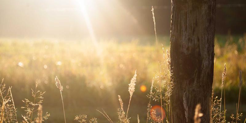 生活服务新蓝海：114店如何通过鲜食、烘焙与本地特产提升毛利与查询量
